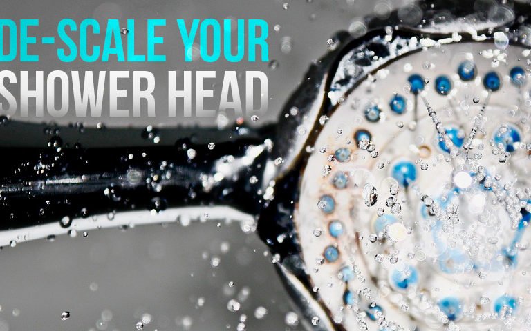 How to de-scale a shower head.